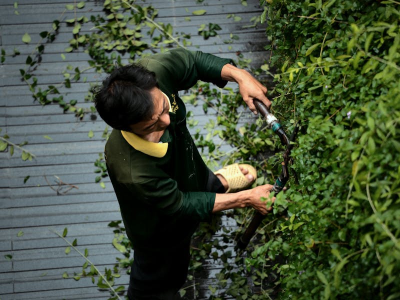Entretien de jardin à Nice — Cyrille Cheveau